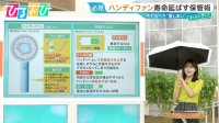 「ハンディファンは充電0％で保管しない」エアコン・日傘・製氷機　今やるべき“夏じまい”【ひるおび】