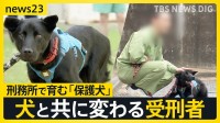 「保護犬」と学びあう受刑者たち…広島・尾道刑務支所の取り組みにカメラが密着「人に優しくできるようになった」 変わり始めた受刑者たち【news23】