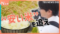 安くておいしい「新米」はどこにある？ おかわり自由に盛り放題で“半額”も！ さらに…意外な場所で最安値を発見【それスタ】