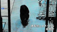 群馬・沼田市のスーパーにクマ侵入 写真公開　70代男性客など2人が襲われけが 命に別状なし