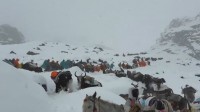 エベレストで猛吹雪　登山客数百人が立ち往生「全員の避難完了」中国メディアが伝える