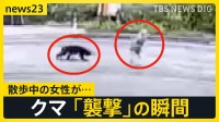 クマの目撃情報が“市街地周辺”で相次ぐ　カメラがとらえた「襲撃」の瞬間…散歩中の女性が顔ひっかかれ負傷　被害を防ぐために必要なことは？【news23】