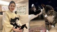 【 ねこ 】藤あや子さんの保護猫「じゃこ天」ついに先輩猫・オレオからキス　「弟認定もらえたね」　フォロワーからも安堵の声