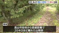 「親子のツキノワグマに遭遇した」75歳男性が腕の骨を折るなどの重傷　岐阜・高山市