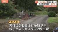 群馬・みなかみ町で“親子グマ”に高齢夫婦が襲われる　近隣ではスーパーに侵入など出没相次ぐ「今年は異常」