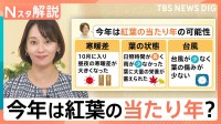 今年は「紅葉の当たり年」！ロープウェイ運賃に価格変動制導入で“紅葉の価値”が上がる？【Nスタ解説】