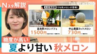 北海道グルメに異変？ 猛暑と秋の寒暖差で…夏より甘い秋メロン、海水温上昇で回遊地域が北上しマグロ豊漁【Nスタ解説】