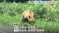 全国で相次ぐクマ被害 今年度の犠牲者7人に 過去最多　冬眠に備え活発になるクマに注意