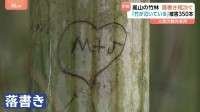 京都・嵐山の竹林で『落書き』増加　一体だれが！？　ハートにアルファベット　何かの記号　中にはカタカナや漢字のような文字も…