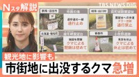 市街地に出没「常識が通用しないクマ」全国的なエサ不足も　まもなく冬眠も…十分警戒を【Nスタ解説】