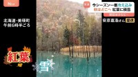 秋はいずこ…紅葉と雪が一緒に！？北海道や東北で積雪も…「これから冬が始まると思うと嫌だ」ほっかほかの焼き芋大盛況！ 3か月予報も発表