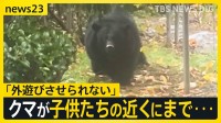 保育園のそばにもクマ出没「外遊びは一切させていません」各地で出没増加の影響広がる…毎年恒例“イチョウ並木のライトアップ”今年は中止【news23】