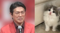 【 ねこ 】　高橋克典さんが新しい家族を紹介　サイベリアンの子猫「ラヴィくん」をお迎え　先住猫の猫パンチにも動じない　「大物の予感」