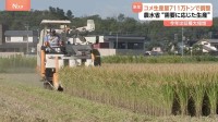 来年（2026年）のコメ生産量711万トンで調整　農水省「需要に応じた生産」 今年は収穫大幅増の見通し