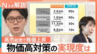 高市総理の物価高対策 家計の負担はいくら減る？「ガソリン減税」「年収の壁」「消費税減税」…政策の実現度は何％？【Nスタ解説】
