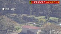 【速報】東京・青梅市の小学校で児童ら22人ハチに刺される　全員意識あり　生活科の授業で落ち葉拾い中に刺されたか