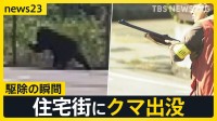 「一直線に突進するように、まさかここまで」盛岡の官庁街にクマ出没で騒然　富山では小学校近くにクマが…駆除の瞬間【news23】