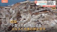 “異例の豊漁”のスルメイカ漁に停止命令へ　約半年で来年3月までの漁獲可能量を超える　水産庁