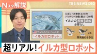 水族館のイルカがロボットに？サーカスのライオンやゾウも…動物愛護で変わる伝統【Nスタ解説】