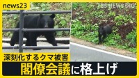 早朝の学校にクマ！カメラが捉えた侵入の一部始終　深刻化するクマ被害に「連絡会議」→「閣僚会議」に格上げ 30日に対応協議へ【news23】