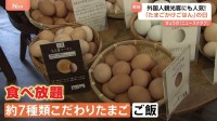 海外からの観光客にも人気！10月30日は「たまごかけごはんの日」