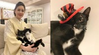 【 ねこ 】藤あや子さんの愛猫・マル「ハロウィンといえばボク」　黒が似合う帽子でコスプレ　フォロワー反応「ジュリーみたい」