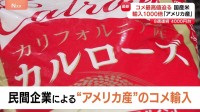 コメ​最高値​に迫る 8週連続で4000円台 「国産米」高止まりの中、民間企業による“アメリカ産”のコメ輸入急増
