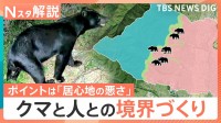 クマはどこからやってくる？目撃情報に見る「川沿い」の危険性　“クマとの共生”目指す自治体の新たな取り組み「ゾーニング」の効果とは【Nスタ解説】