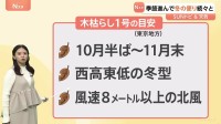 季節進んで冬の便り続々と、東京地方 木枯らし1号か？【SUNトピ】