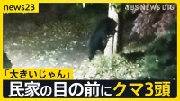 3連休の行楽地に“クマ”の影響「きょうは目撃したのか？」の問い合わせも　各地で人的被害も相次ぐ「キノコ採り」で山に入り“鼻を引っかかれる”【news23】