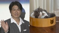 【 ねこ 】高橋克典さんの愛猫ミルリイ＆ラヴィ　秋の夜長に運動会　毛繕いも “ペロペロプロレス”