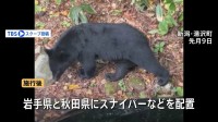 警察官によるライフル銃での“クマ駆除”可能に　国家公安委員会規則を改正　来週13日に施行