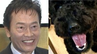 【 いぬ 】遠藤憲一さんの愛犬クロミ「観察してると楽しい」　ソファ占領＆クッション破壊にフォロワー「うちもかじります」