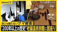あとを絶たないクマ被害 “200年以上の歴史”老舗温泉旅館にクマ居座り 「寝ている部屋の前に…」経営者家族が語る緊迫の一夜【news23】