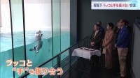 天皇皇后両陛下　ラッコと笑顔で“手”を振り合い…名物「イカミミジャンプ」成功で笑いながら拍手も　9日は「海づくり大会」出席　三重県