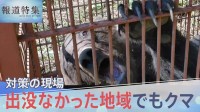 「緊急事態」過去最悪のクマ被害 市街地でも… すみ分けは可能？ 地域で摸索される対策、クマのエサを山に 10年越しの挑戦【報道特集】