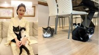 【 ねこ 】藤あや子　愛猫「じゃこ天＆マル」が「オレオ」の “衛兵っぽくて可愛い” 　テーブル下で鉄壁の香箱