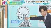 「肩こり」の原因は“首のインナーマッスル”にあり！五輪ドクターが教えるメカニズムと改善法【ひるおび】