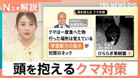 海を泳ぐクマの姿も…　もはや“災害” 学習能力の高いクマ対策の難しさ　人とのすみ分けも課題【Nスタ解説】