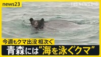 漁師が見た“海を泳ぐクマ” 今週も各地で相次いだクマ出没…政府は人の生活圏からの排除に向け「クマ被害対策パッケージ」取りまとめ【news23】