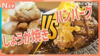 【究極の2択】しょうが焼きorハンバーグ選ぶならどっち？定食屋や専門店スーパーなど様々な場所で徹底調査！定番おかずあなたはどっち派？それスタ