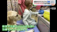 国内まだ6頭　闘病中の子どもを支える「ファシリティドッグ」 普及を阻む費用の壁…寄付を募り導入目指す兵庫の病院の取り組み【SDGs】