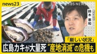 冬の味覚“広島産の生ガキが入荷できない”カキ大量死で“産地消滅”の危機も…鈴木農水大臣が視察「厳しい状況」【news23】