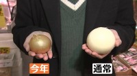 たまねぎ小さくないですか？「3分の1くらい小さくなっている」「料理しづらい」値段も高く去年の2倍以上に　影響は来春まで続く可能性も