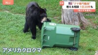 住宅街にクマが現れる町　アメリカの「クマ対策専門」州職員に密着　住民守る訓練も