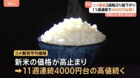 コメ平均価格5キロ4260円　3週ぶり値下がりも11週連続で4000円台の高値続く