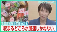 「物価高は収まるどころか加速しかねない」コロナ後最大21.3兆円の「総合経済対策」を閣議決定も更なる円安＆物価高の懸念…【サンデーモーニング】