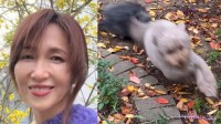 【 工藤静香 】　自宅のお庭で愛犬が全力疾走　投稿動画にファン反響　「ワンちゃん達元気いっぱいで楽しそう」「すんごい豪邸」「お庭素敵すぎるよ！公園だね！」