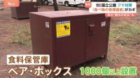 アメリカ・ヨセミテ国立公園でクマ対策に厳格ルール 徹底した食べ物管理や“最大78万円の罰金”も 背景に『過去への反省』