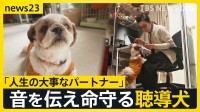 全国にわずか50頭 音を伝えて命を守る“聴導犬” 聞こえない世界を支える「人生の大事なパートナー」【news23】